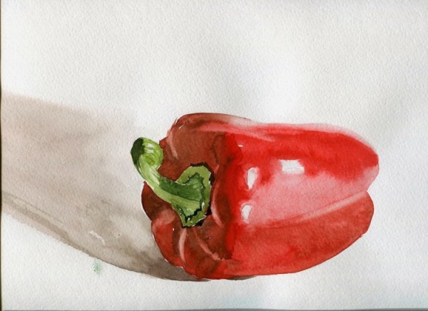 Болгарский перец акварелью