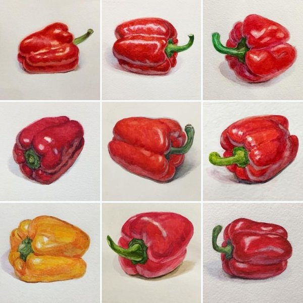 Елизавета Залегина овощи