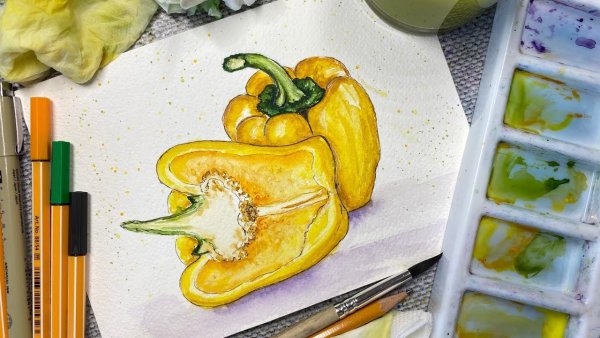 Скетчинг перец болгарский