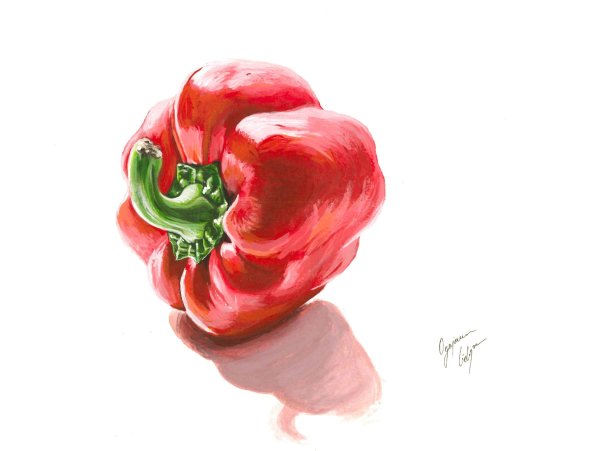 Перец акварелью