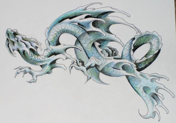 Дракон красивый цветной