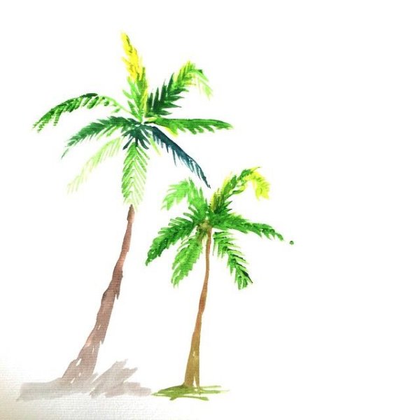Акварельные векторные пальмы