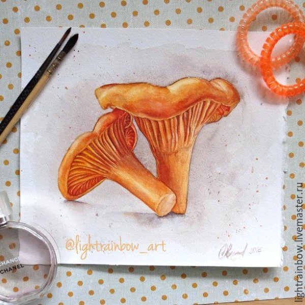 Лисички акварелью грибы