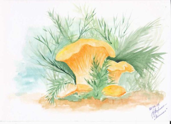 Грибы лисички гуашью
