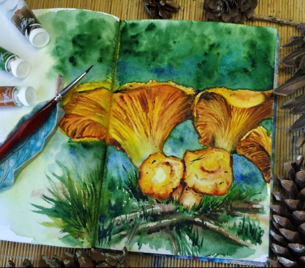 Рисование грибы Лисичка для детей