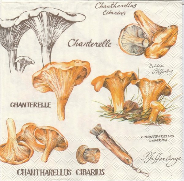 Грибы лисички для декупажа