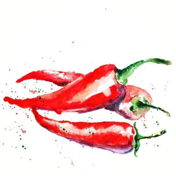 Красный перец акварелью