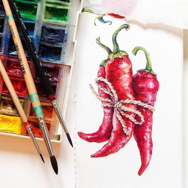 Екатерина Михеева иллюстрации