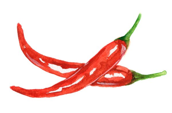 Перец Чили акварель