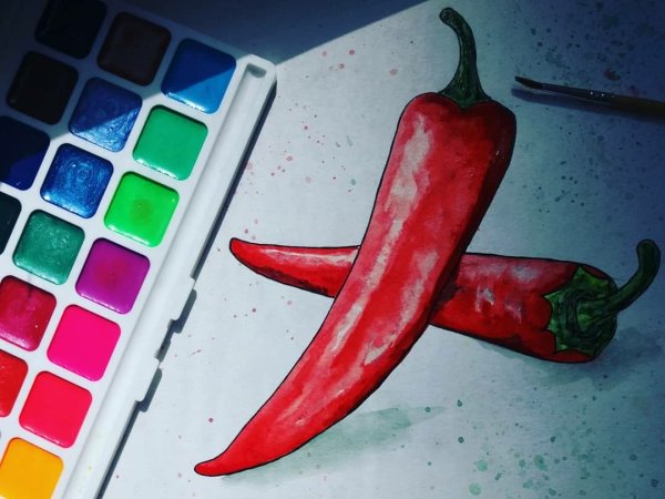 Перчик Чили акварель