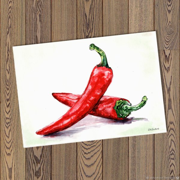 Скетчинг перец Чили