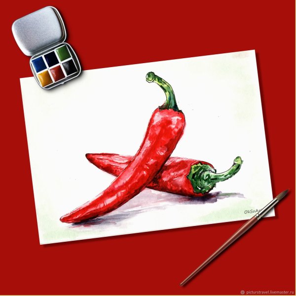 Перчик Чили акварель