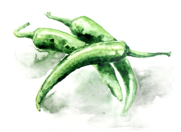 Красный перец акварелью