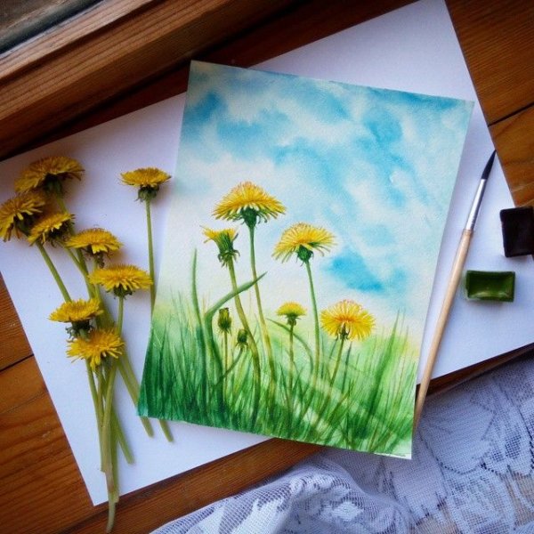 Рисование одуванчик