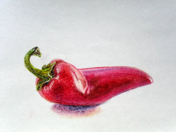 Перец Чили нарисованный акрилом