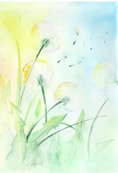 Одуванчики акварелью