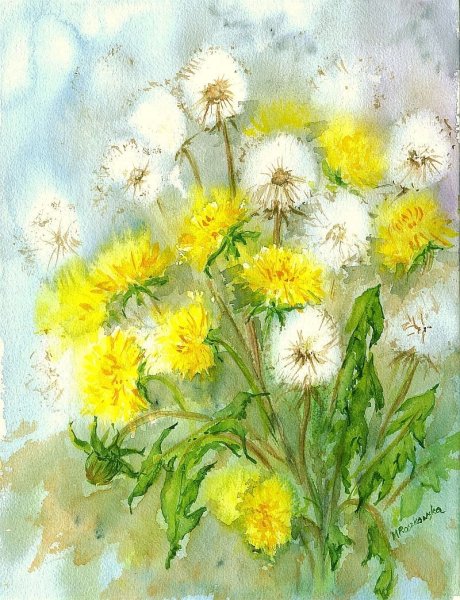 Букет одуванчиков акварелью