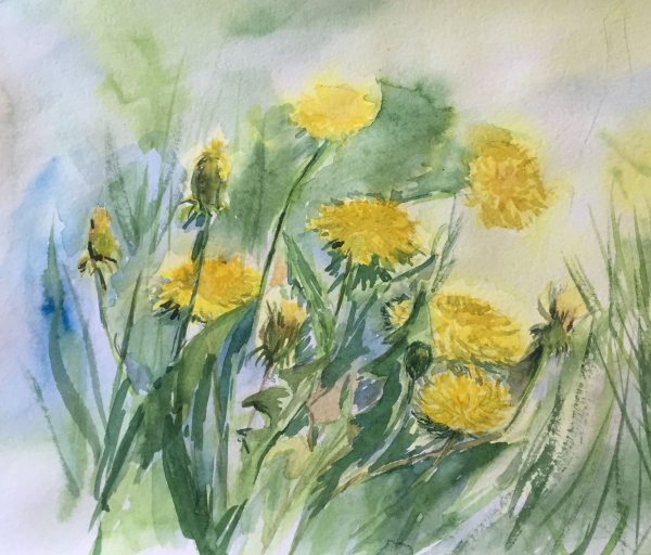 Импрессионист букет одуванчики