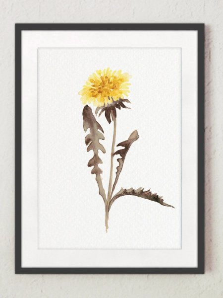 Гербарий акварель