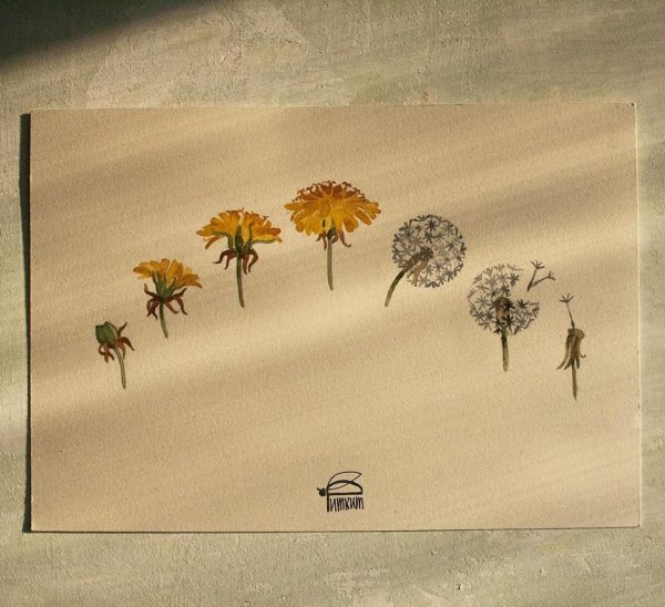 Тату одуванчик желтый