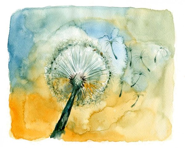 Одуванчики акварелью