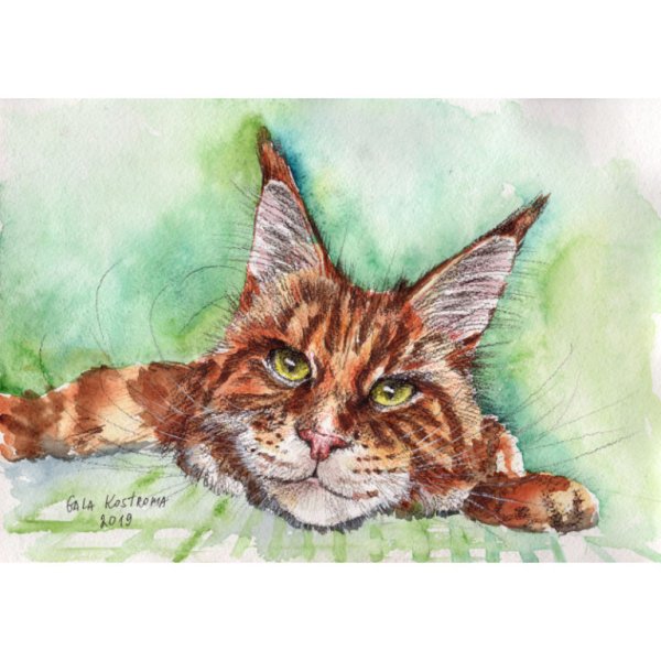 Мейн кун живопись