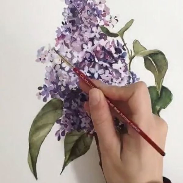 Акварель цветы Анна Катаниан