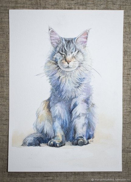 Картина Мейн куна