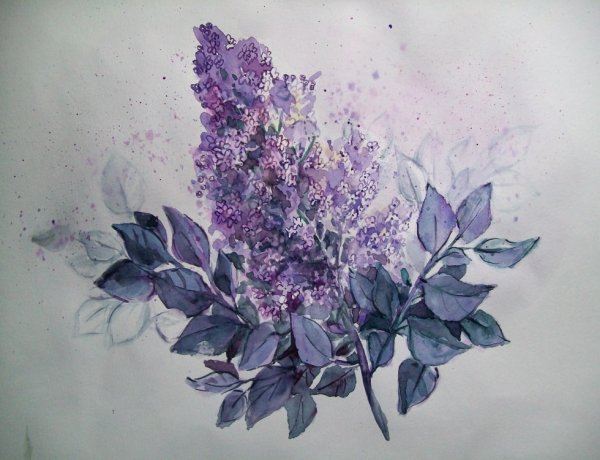 Сирень набросок Врубель