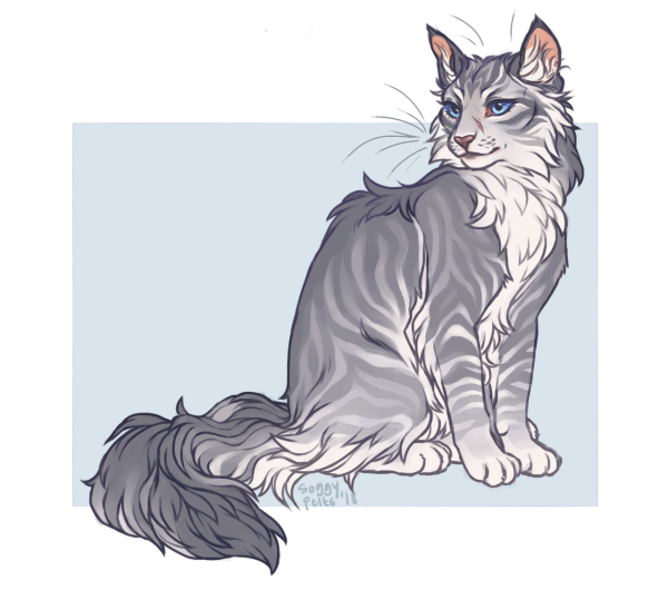 Художник Екатерина Калиновская кот