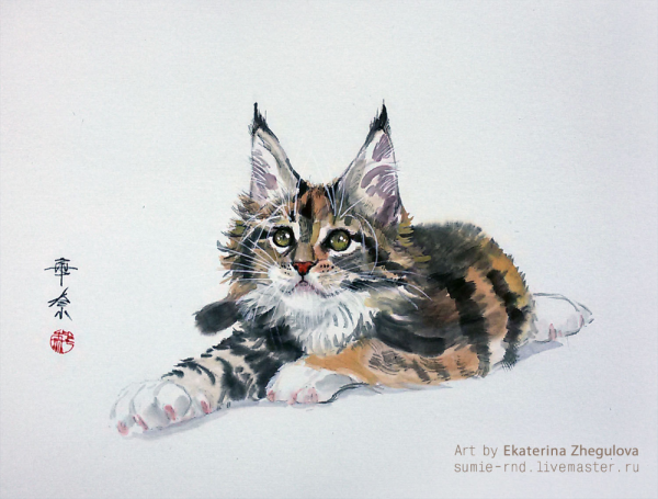 Рисунок Мейн куна