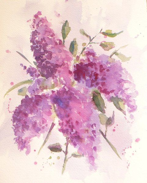 Марина Трушникова акварель сирень