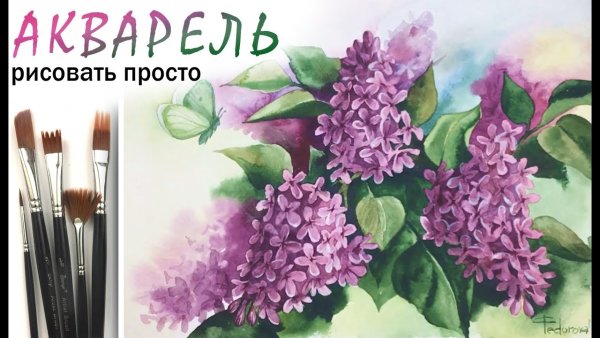 Сирень уроки рисования