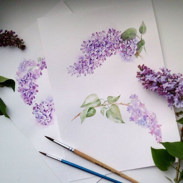 Сирень акварельными карандашами