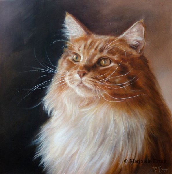 Черный Мейн кун арт