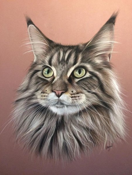 Кошки в искусстве. Braden Duncan.