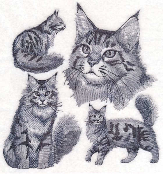 Акварель кот Мейн кун