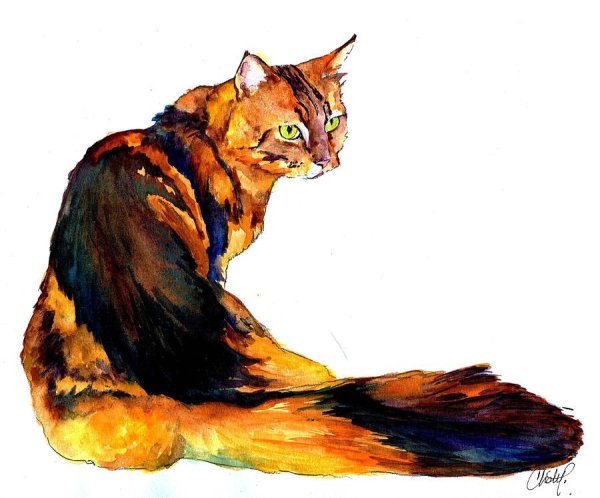Художник Екатерина Калиновская котенок