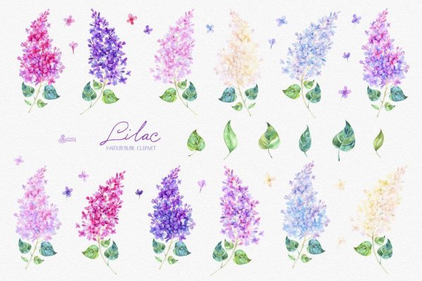 Тату сирень эскиз