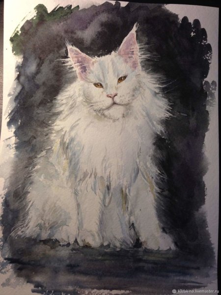 Кошка пушистая Мейн кун