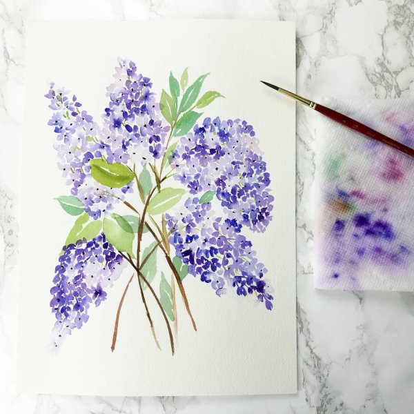 Сирень акварелью пошагово