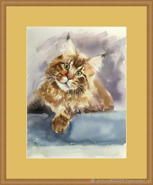 Котята Мейн кун