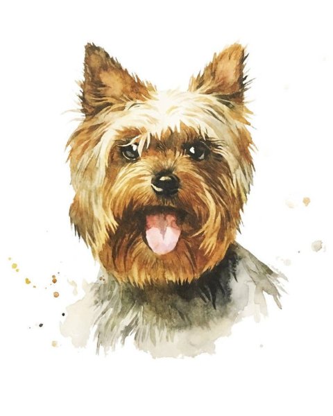 Йорк акварелью