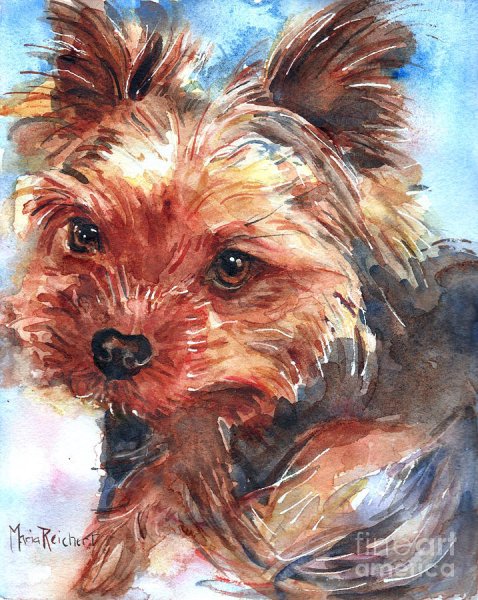 Йоркширский терьер акварелью