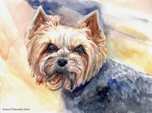 Йоркширский терьер живопись