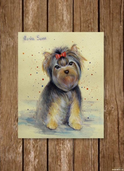 Йоркширский терьер акрилом