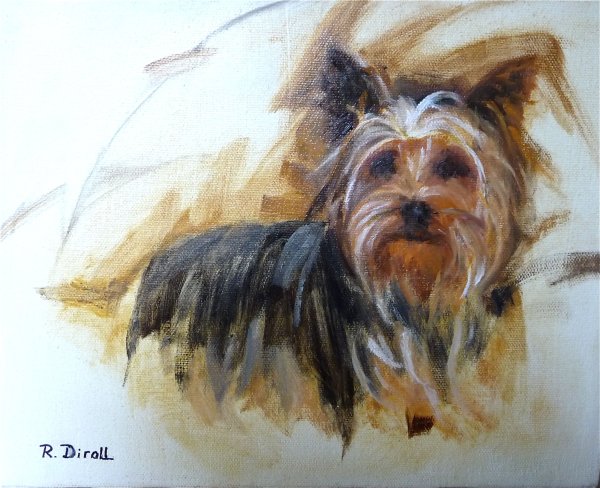 Йоркширский терьер Сильвия