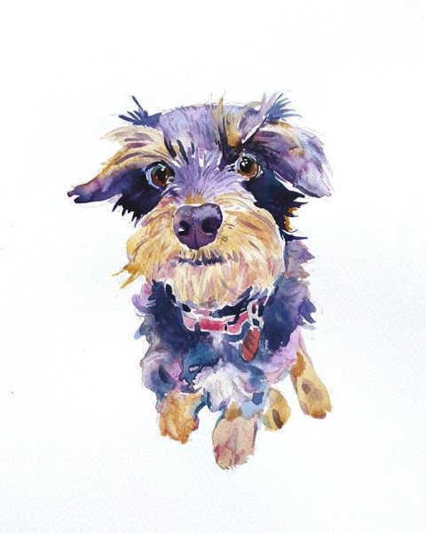 Собака пастелью