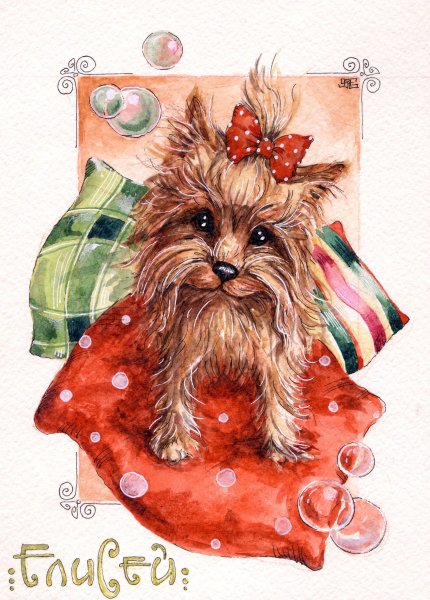 Йоркширский терьер смешной Постер в стиле