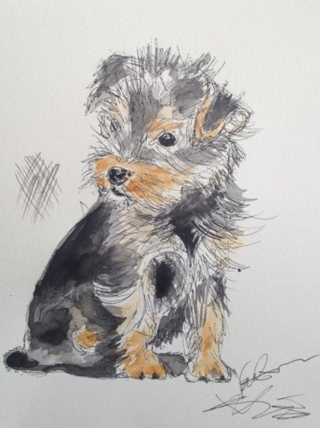 Йоркширский терьер портрет